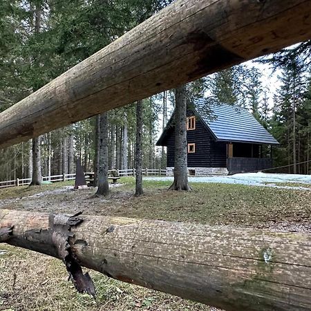 Cosy Lodge Pokljuka Goreljek Εξωτερικό φωτογραφία