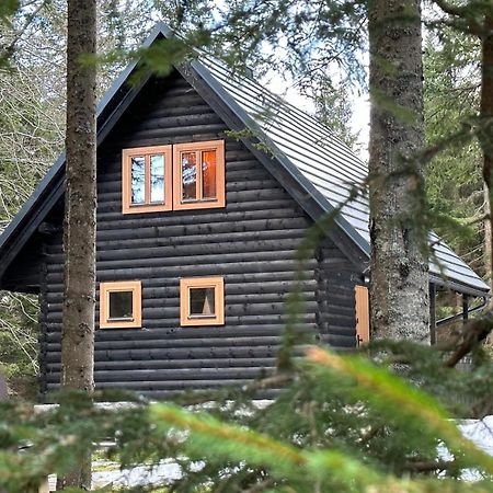 Cosy Lodge Pokljuka Goreljek Εξωτερικό φωτογραφία