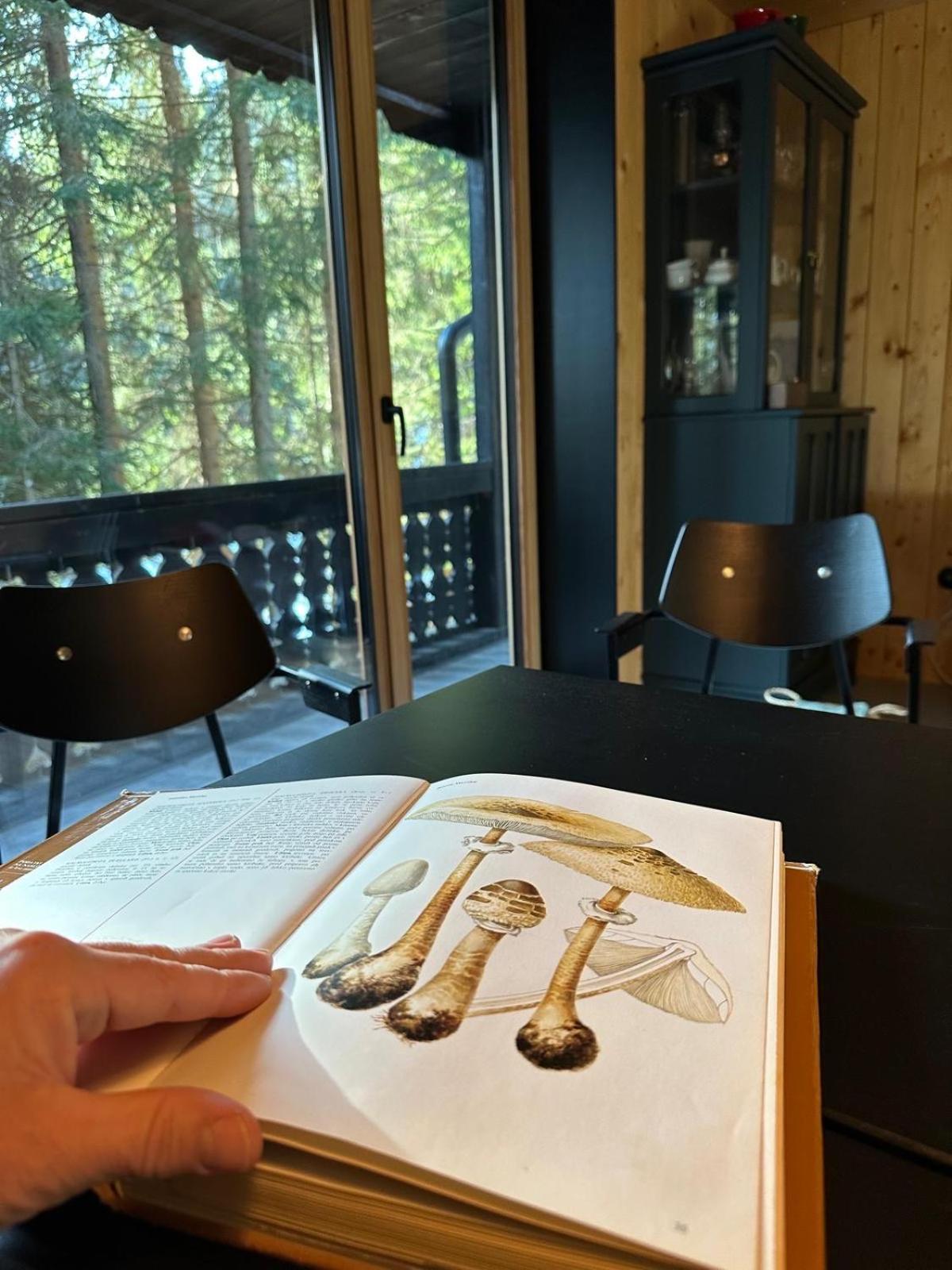 Cosy Lodge Pokljuka Goreljek Εξωτερικό φωτογραφία