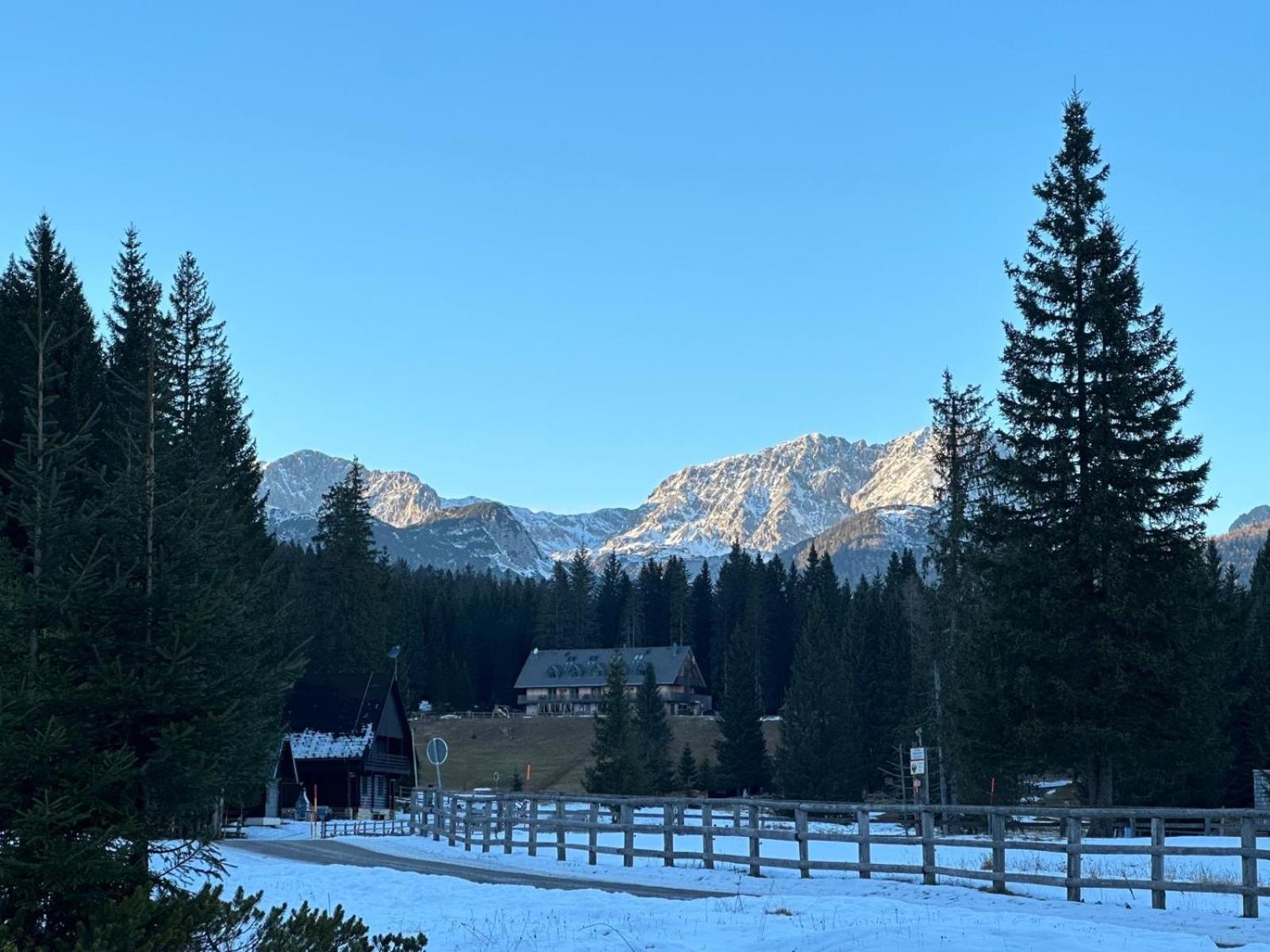 Cosy Lodge Pokljuka Goreljek Εξωτερικό φωτογραφία