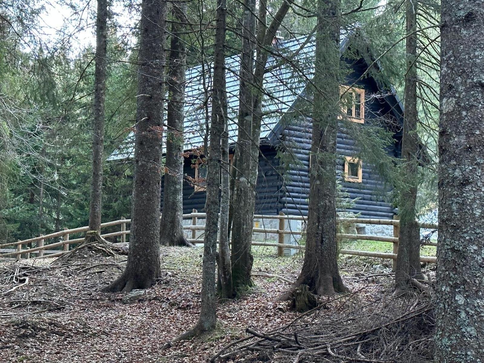 Cosy Lodge Pokljuka Goreljek Εξωτερικό φωτογραφία