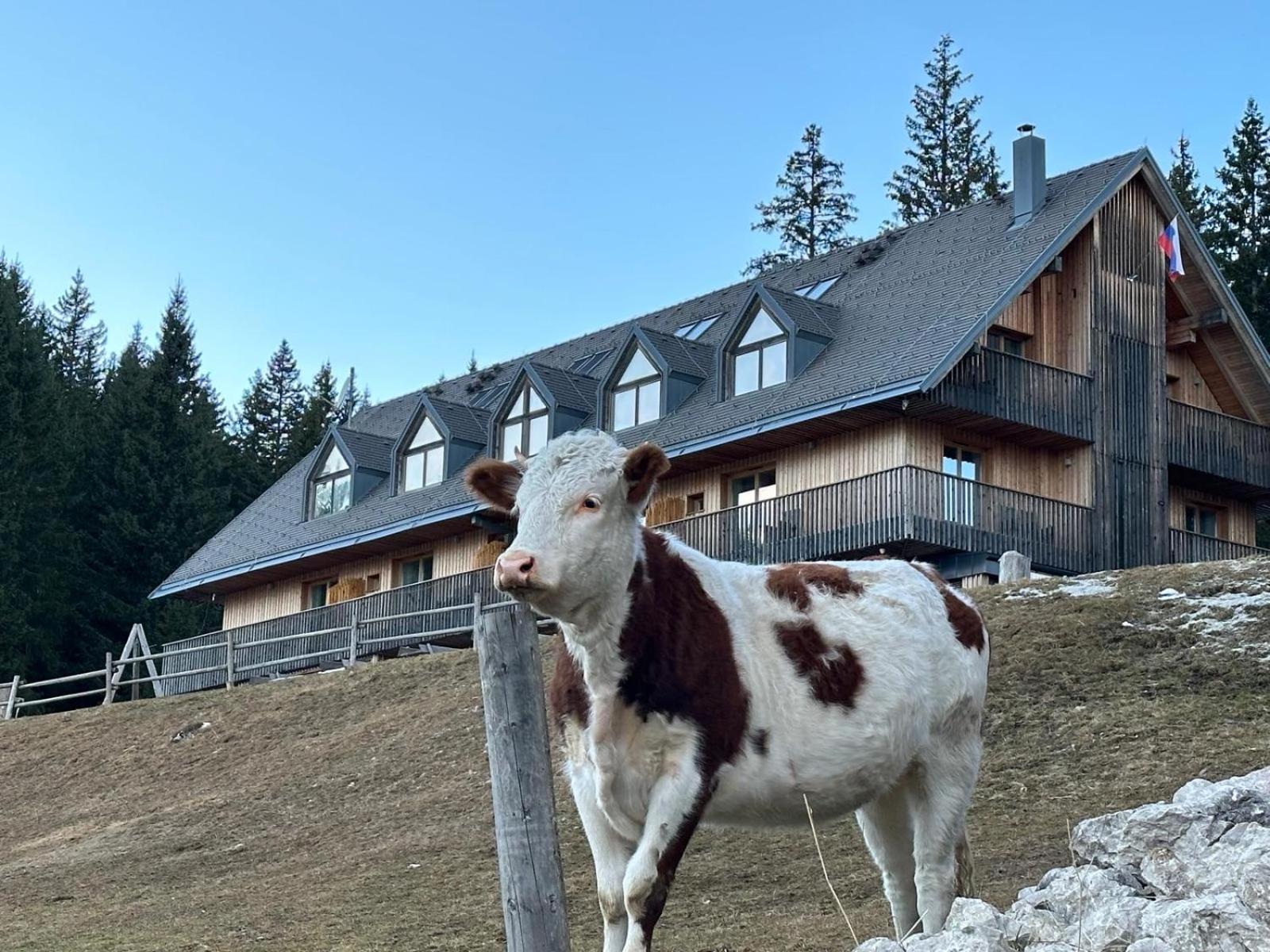 Cosy Lodge Pokljuka Goreljek Εξωτερικό φωτογραφία