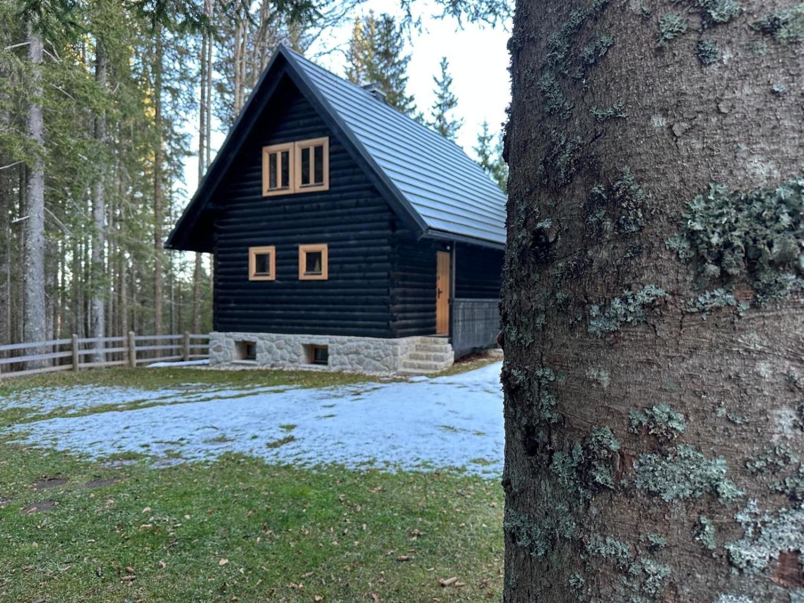 Cosy Lodge Pokljuka Goreljek Εξωτερικό φωτογραφία
